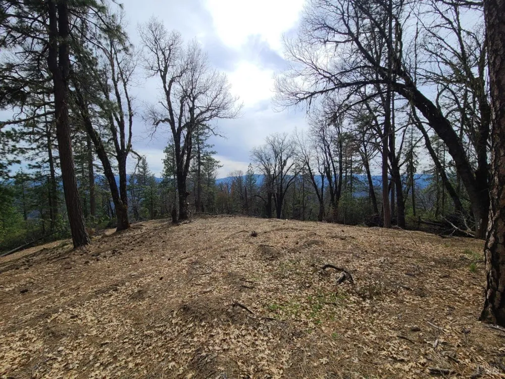47700 Bentley Ridge Road Covelo, CA 95428