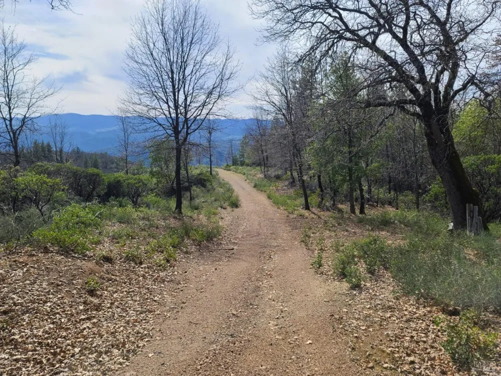 47700 Bentley Ridge Road Covelo, CA 95428