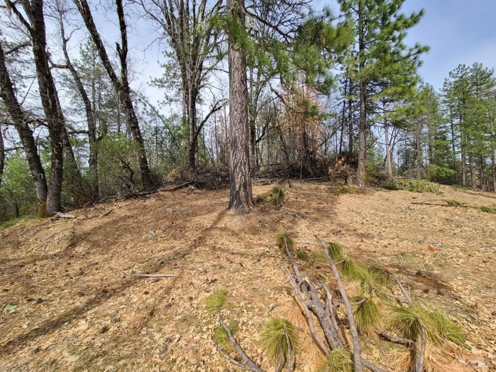 47700 Bentley Ridge Road Covelo, CA 95428
