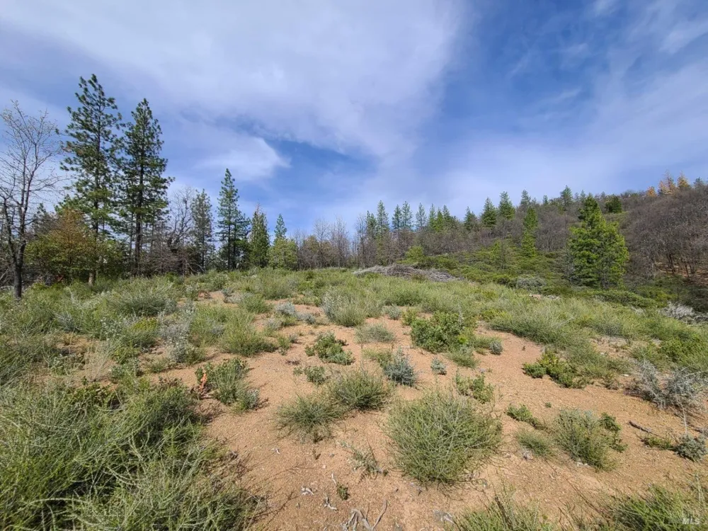 47700 Bentley Ridge Road Covelo, CA 95428