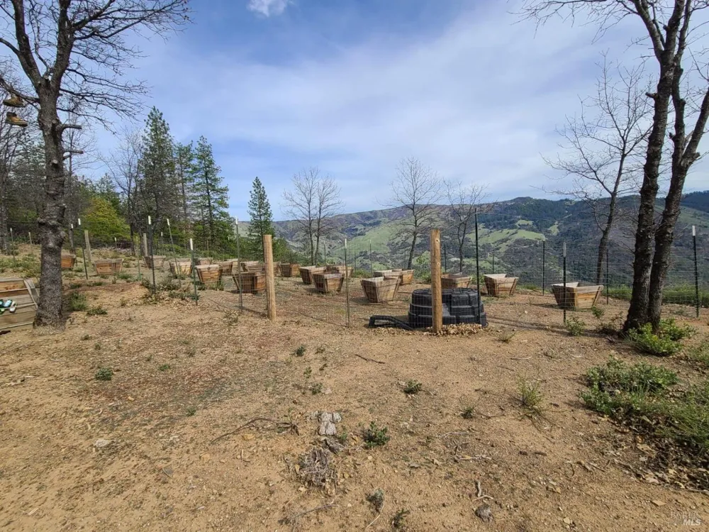 47700 Bentley Ridge Road Covelo, CA 95428