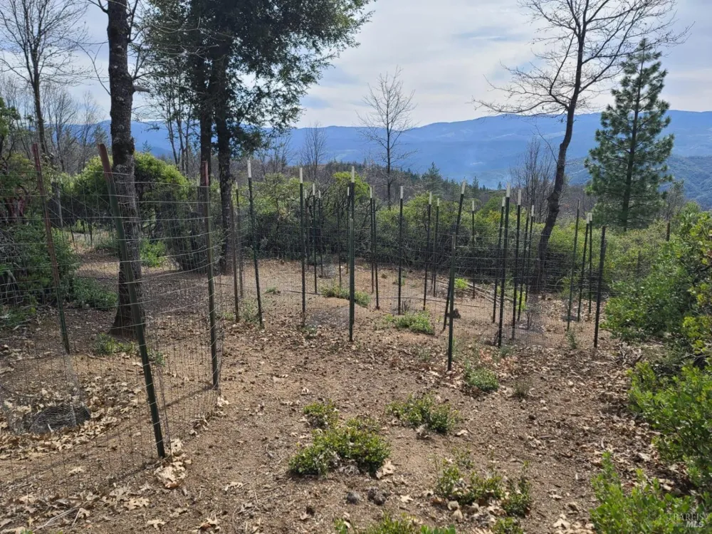 47700 Bentley Ridge Road Covelo, CA 95428