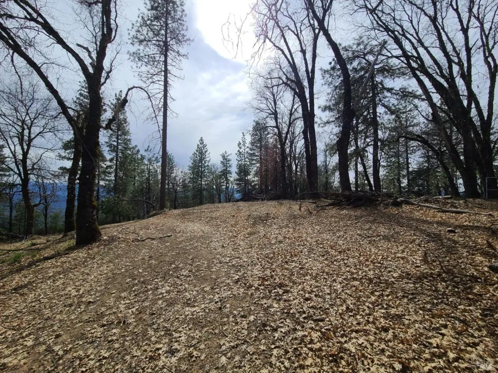 47700 Bentley Ridge Road Covelo, CA 95428