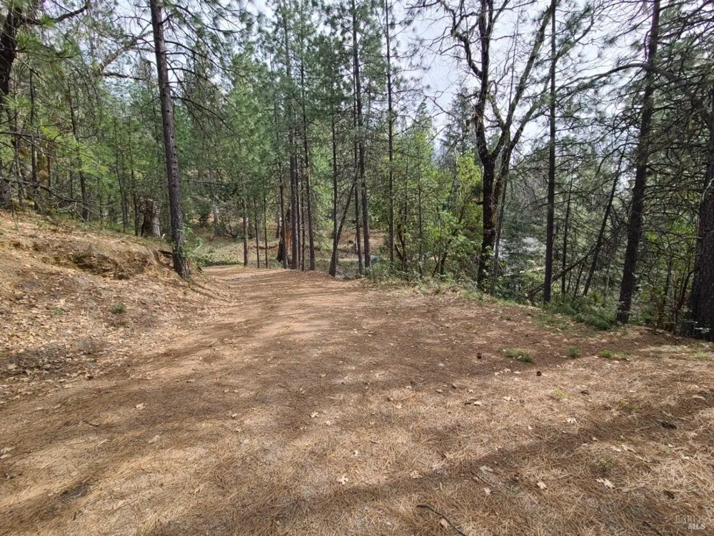 47700 Bentley Ridge Road Covelo, CA 95428