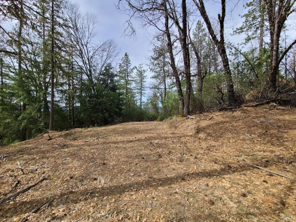 47700 Bentley Ridge Road Covelo, CA 95428
