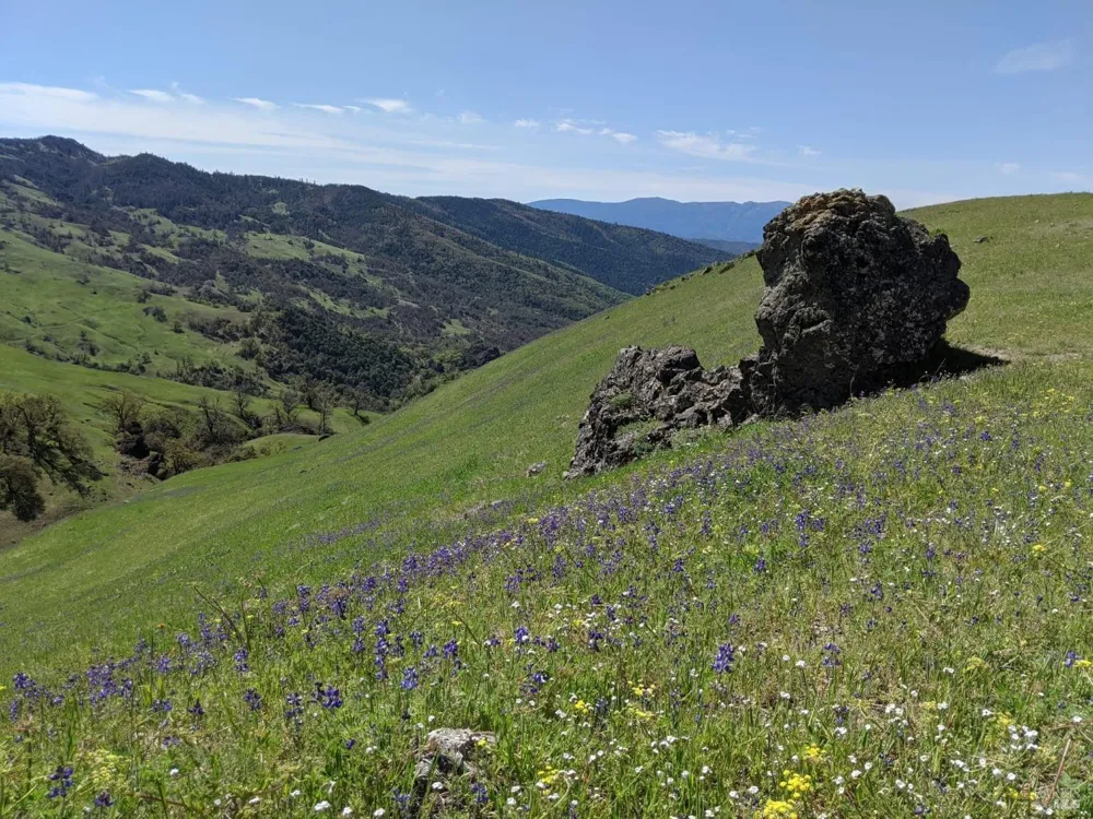 47700 Bentley Ridge Road Covelo, CA 95428