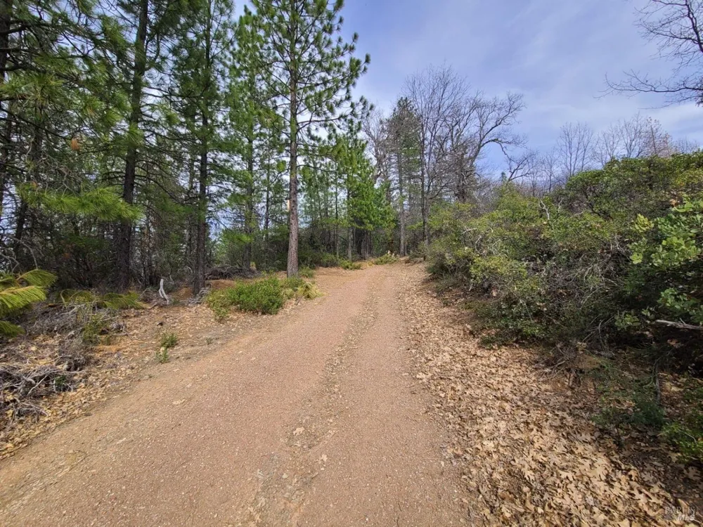47700 Bentley Ridge Road Covelo, CA 95428
