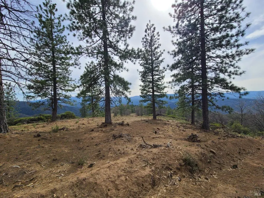 47700 Bentley Ridge Road Covelo, CA 95428