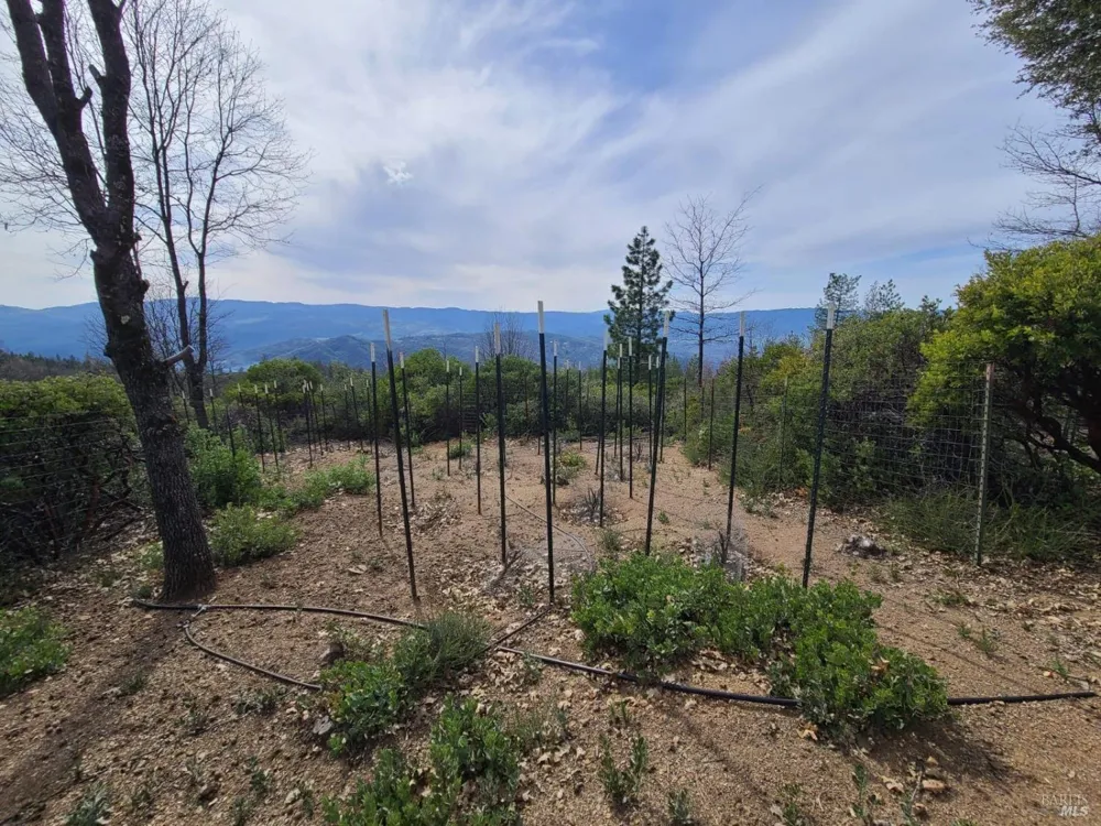 47700 Bentley Ridge Road Covelo, CA 95428