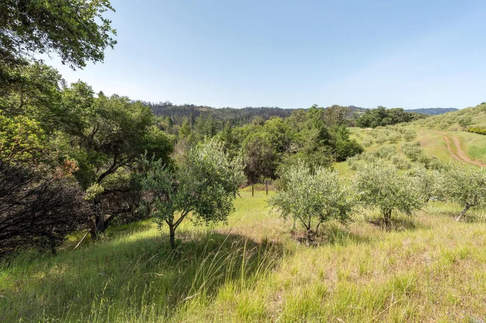 2440 Big Ridge Road Healdsburg, CA 95448