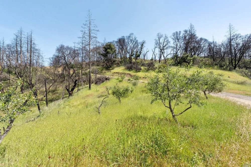 2440 Big Ridge Road Healdsburg, CA 95448