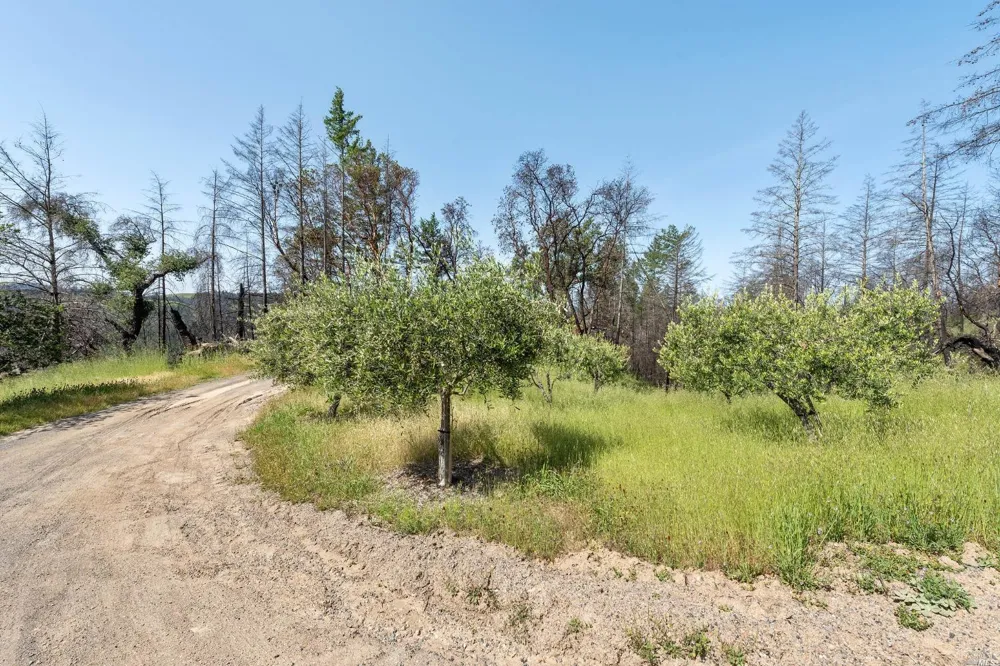 2440 Big Ridge Road Healdsburg, CA 95448