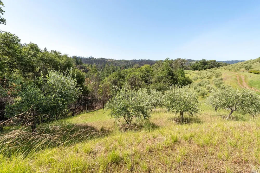 2440 Big Ridge Road Healdsburg, CA 95448