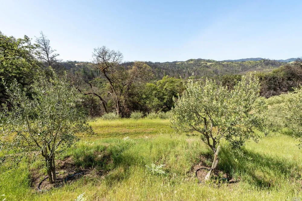 2440 Big Ridge Road Healdsburg, CA 95448