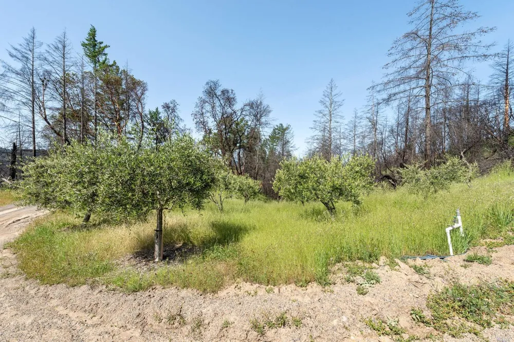 2440 Big Ridge Road Healdsburg, CA 95448