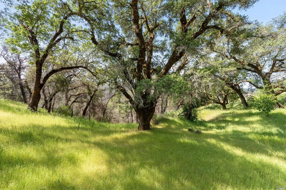 2440 Big Ridge Road Healdsburg, CA 95448