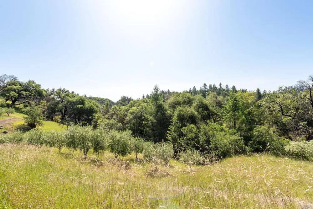 2440 Big Ridge Road Healdsburg, CA 95448