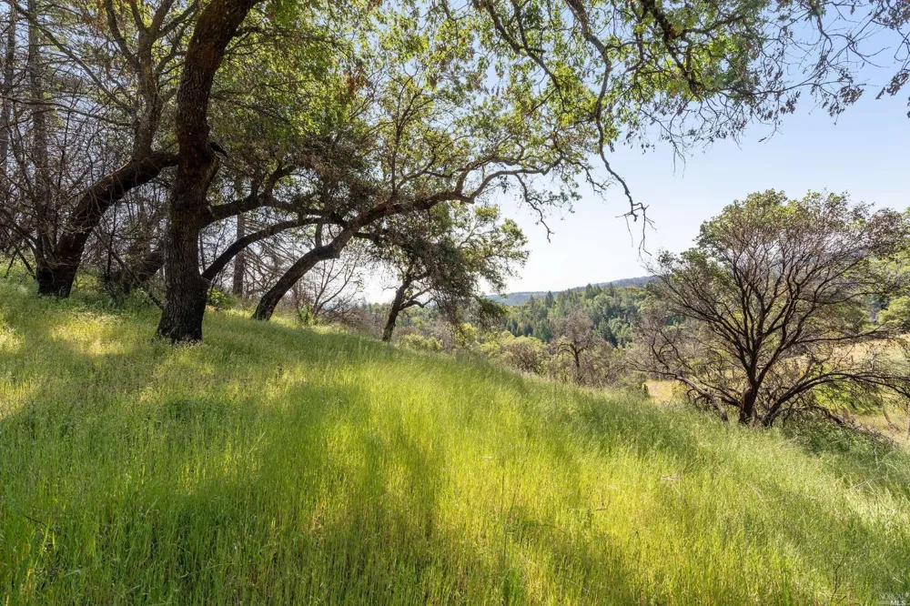 2440 Big Ridge Road Healdsburg, CA 95448