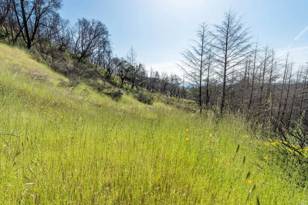 2440 Big Ridge Road Healdsburg, CA 95448