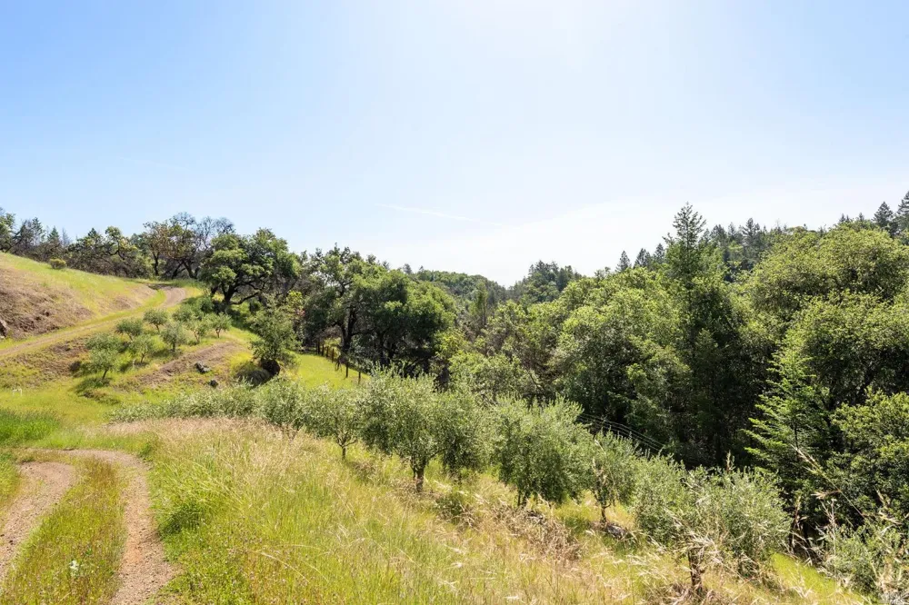 2440 Big Ridge Road Healdsburg, CA 95448