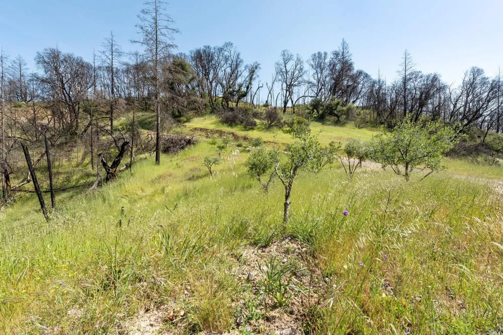 2440 Big Ridge Road Healdsburg, CA 95448