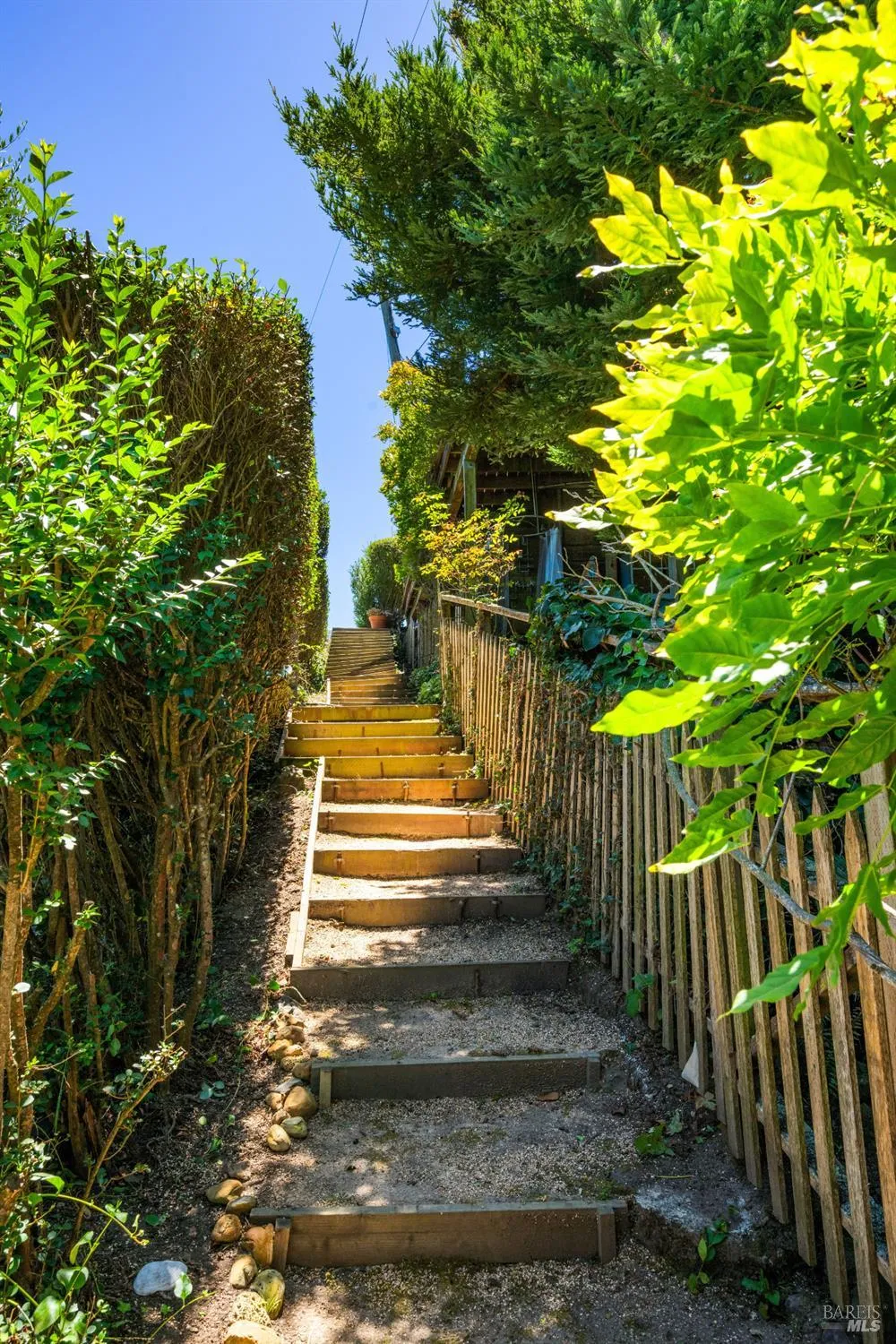 41 Ocean Avenue Bolinas, CA 94924