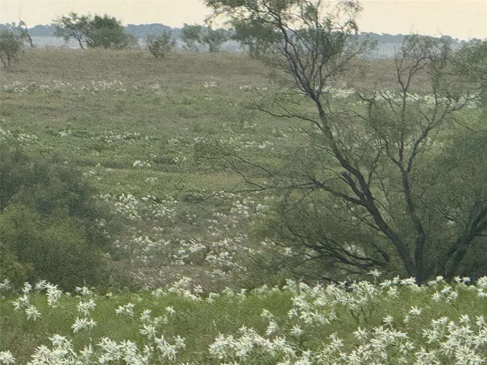 279 Private Road 4512 Decatur, TX 76234