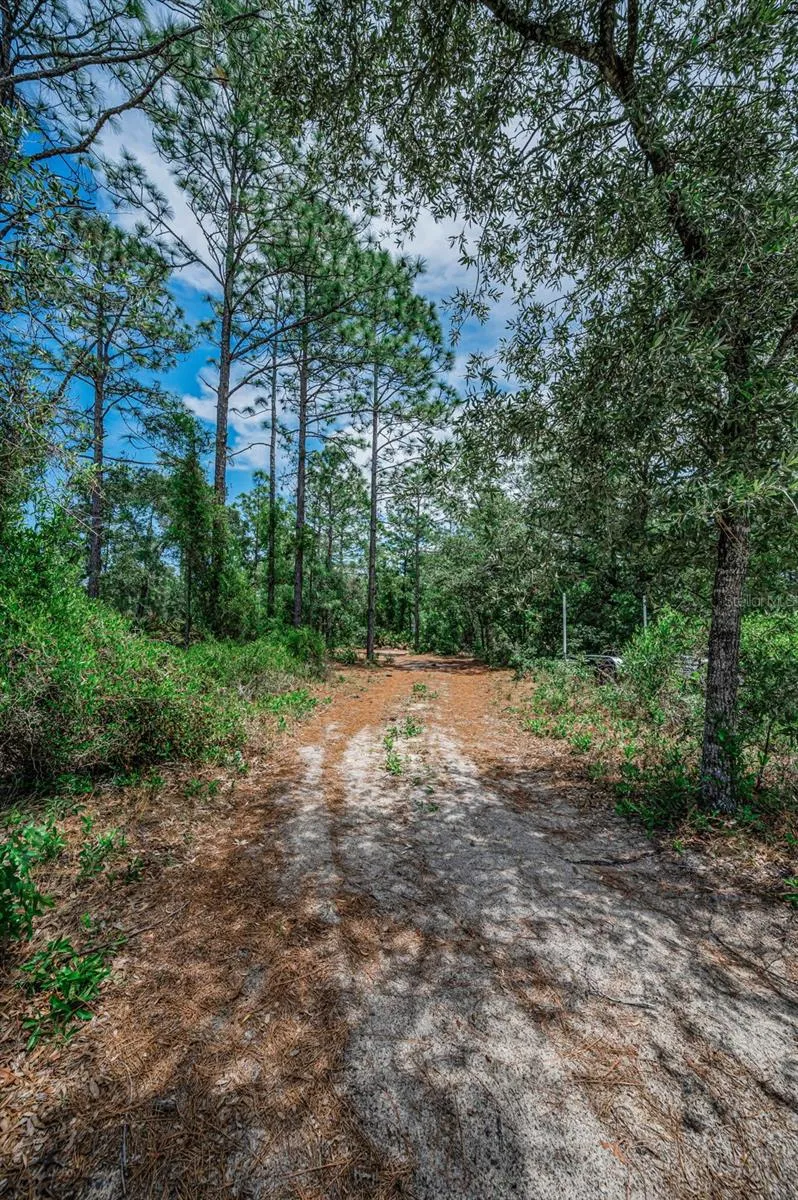 12132 FRANKWOOD ROAD Weeki Wachee, FL 34614