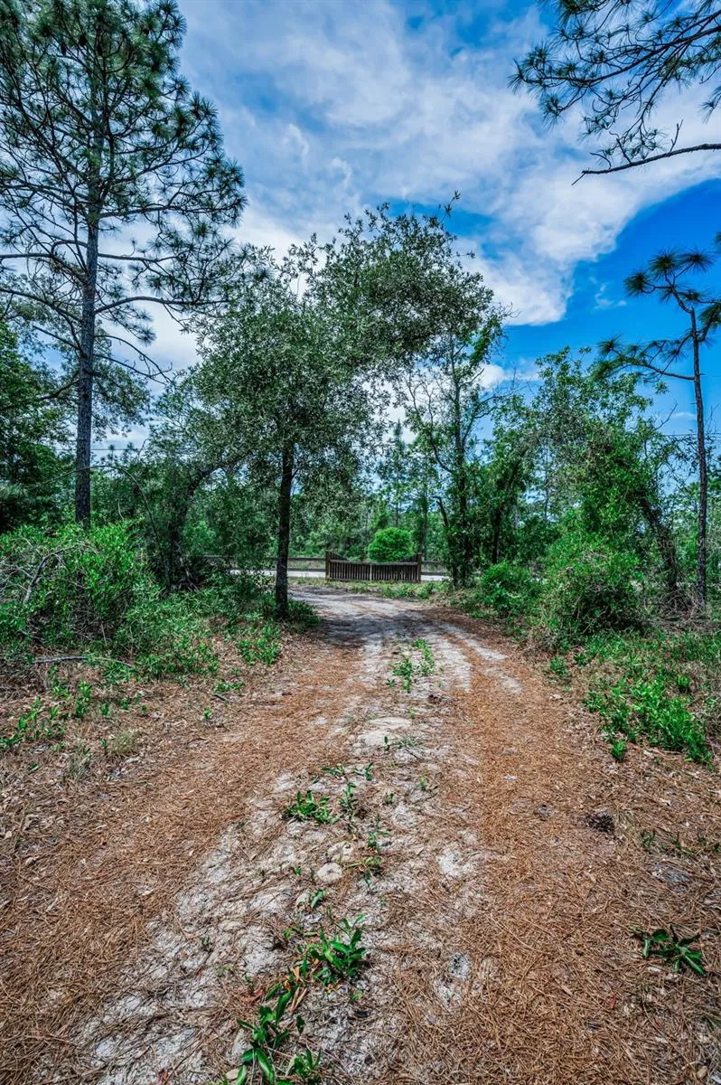 12132 FRANKWOOD ROAD Weeki Wachee, FL 34614