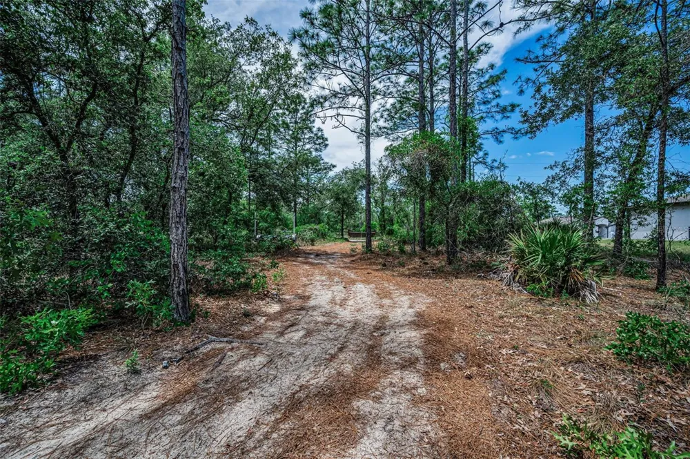 12132 FRANKWOOD ROAD Weeki Wachee, FL 34614