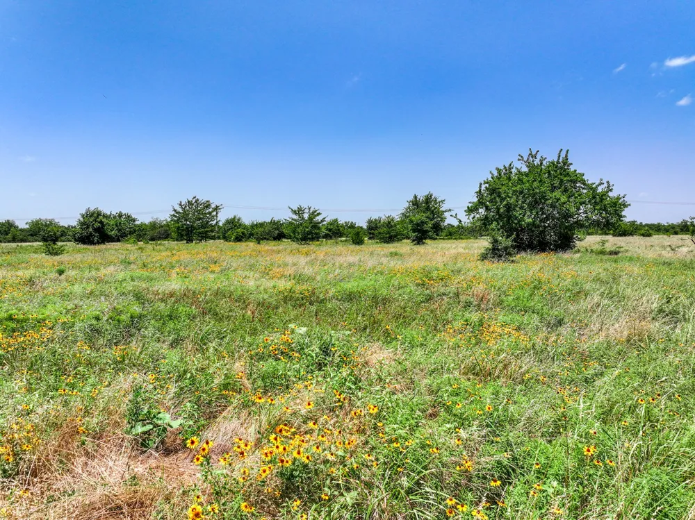 W Farm Rd 71 Highway Talco, TX 75487