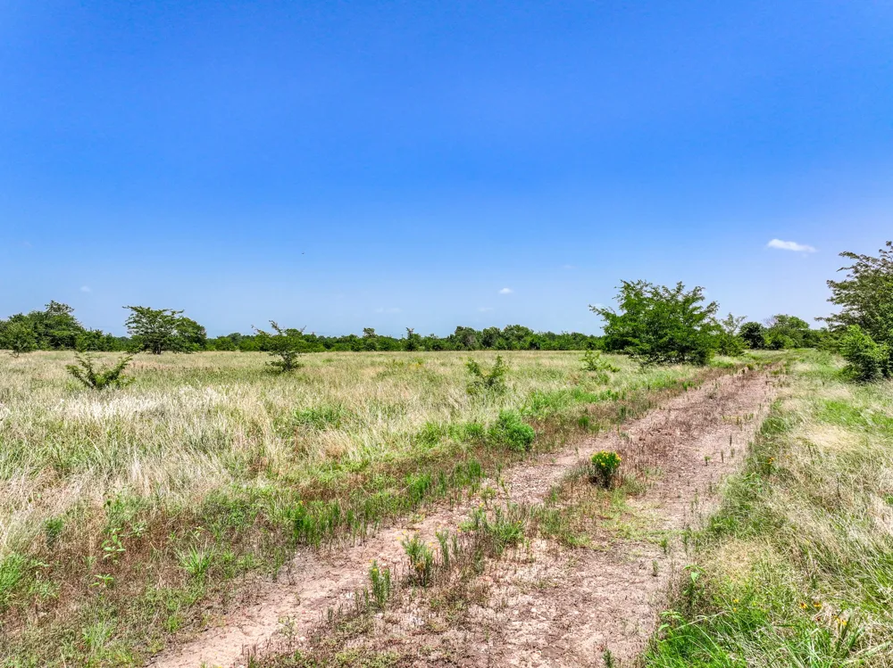 W Farm Rd 71 Highway Talco, TX 75487