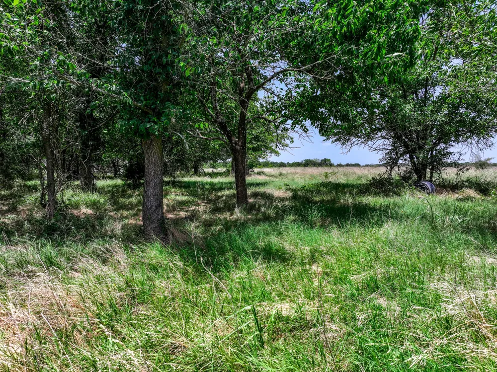 W Farm Rd 71 Highway Talco, TX 75487