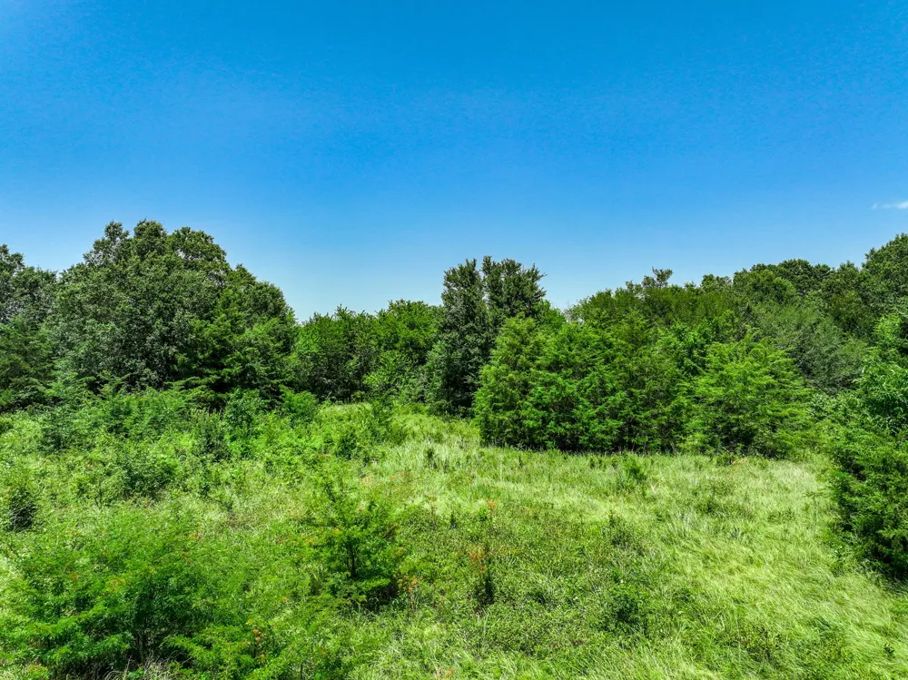 W Farm Rd 71 Highway Talco, TX 75487
