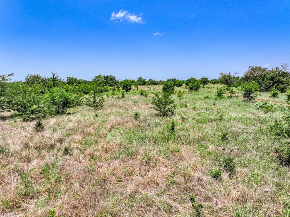 W Farm Rd 71 Highway Talco, TX 75487