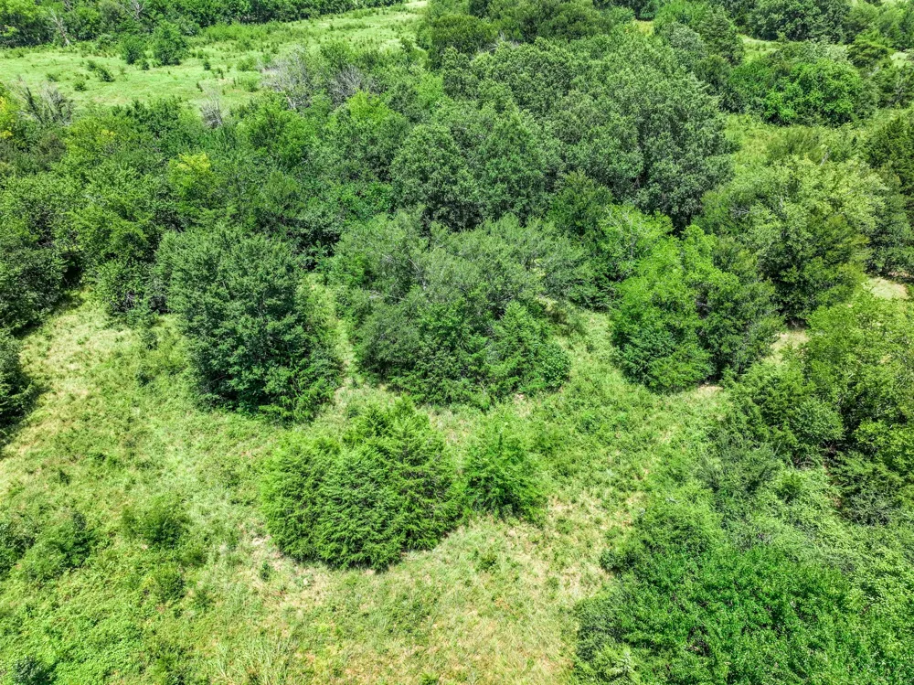 W Farm Rd 71 Highway Talco, TX 75487
