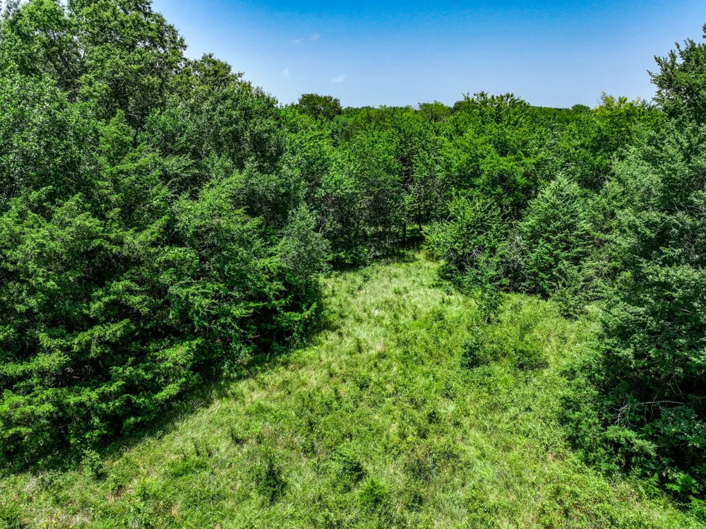 W Farm Rd 71 Highway Talco, TX 75487