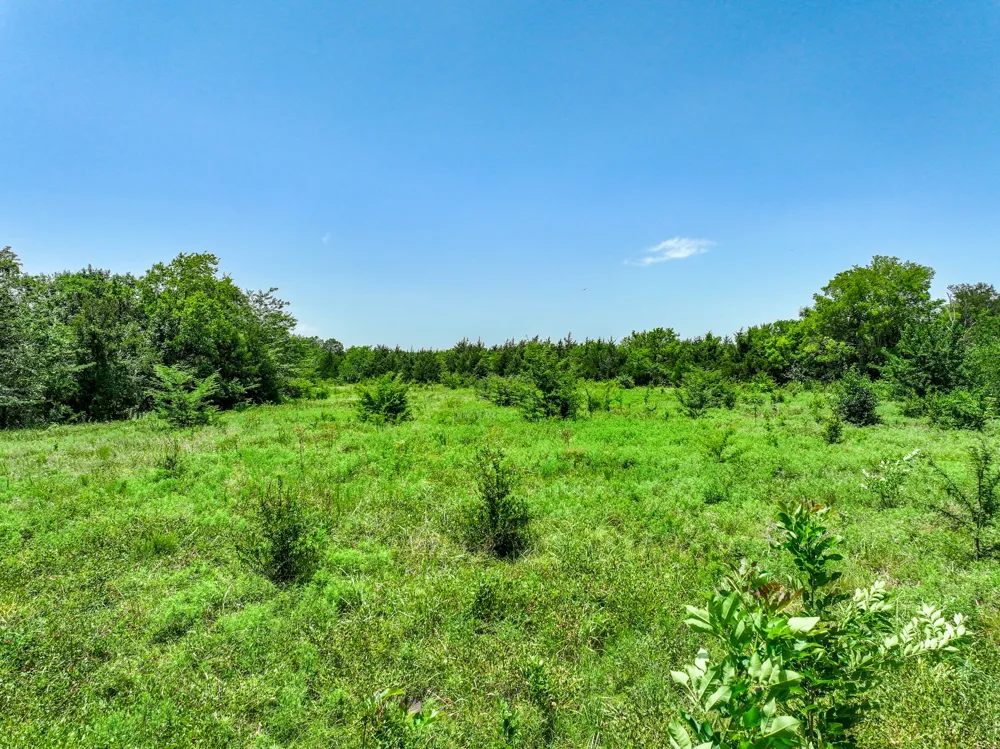 W Farm Rd 71 Highway Talco, TX 75487