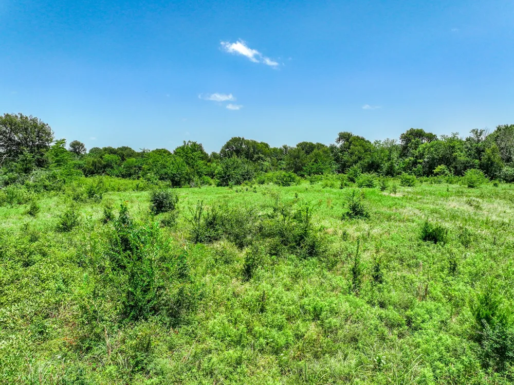 W Farm Rd 71 Highway Talco, TX 75487