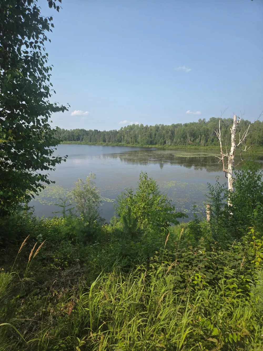 1423 Stone Lake Bridge Road Brimson, MN 55602