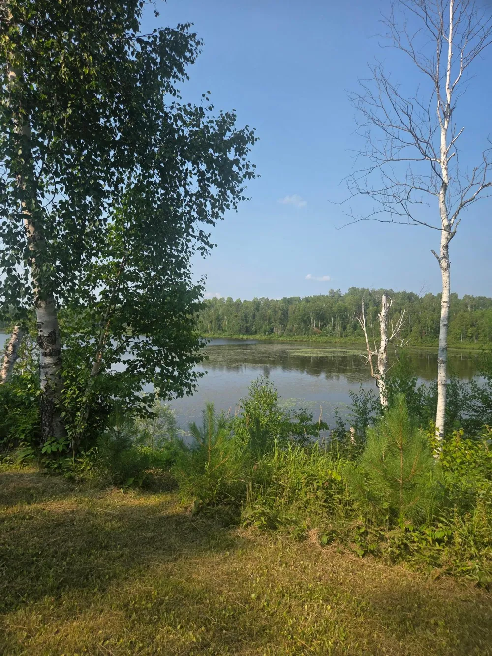 1423 Stone Lake Bridge Road Brimson, MN 55602