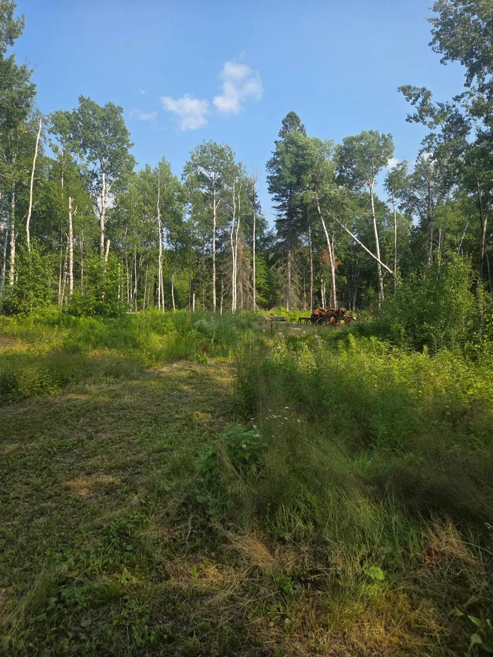 1423 Stone Lake Bridge Road Brimson, MN 55602