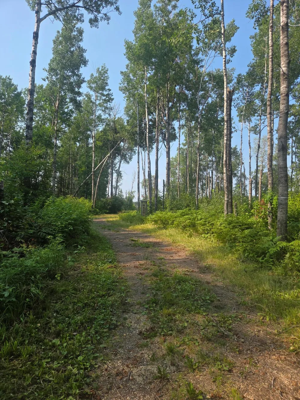 1423 Stone Lake Bridge Road Brimson, MN 55602