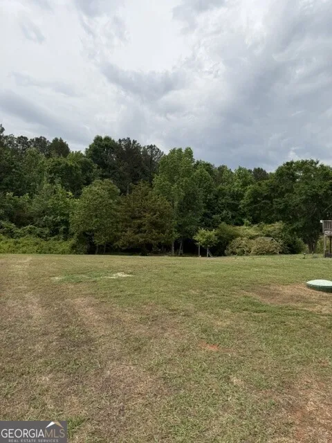 4383 Todd RD Braselton, GA 30517