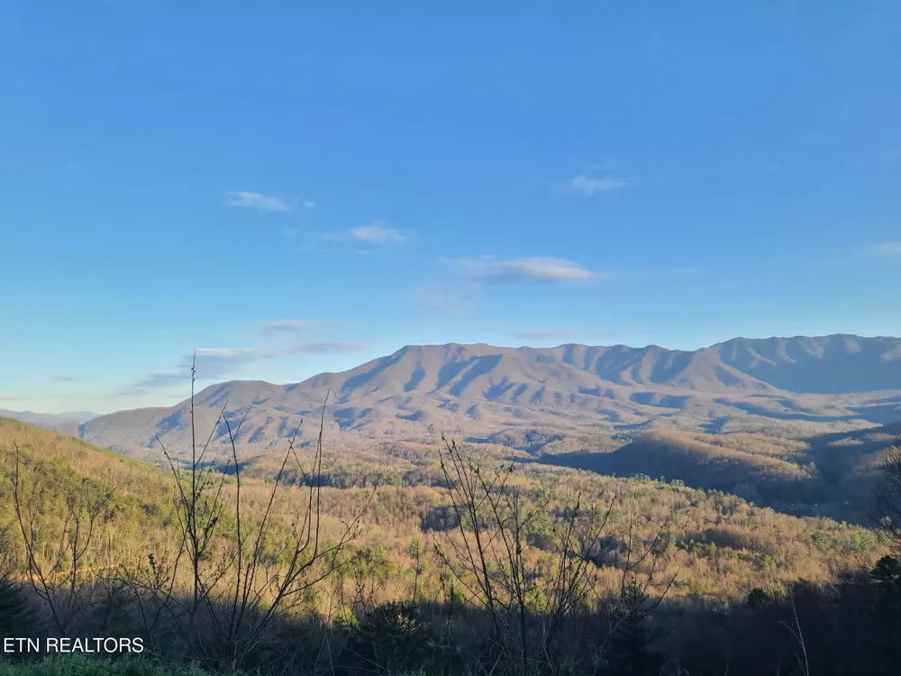 994 Emilyville Way Cosby, TN 37722
