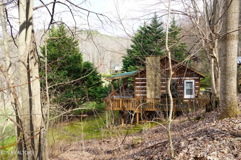 994 Emilyville Way Cosby, TN 37722