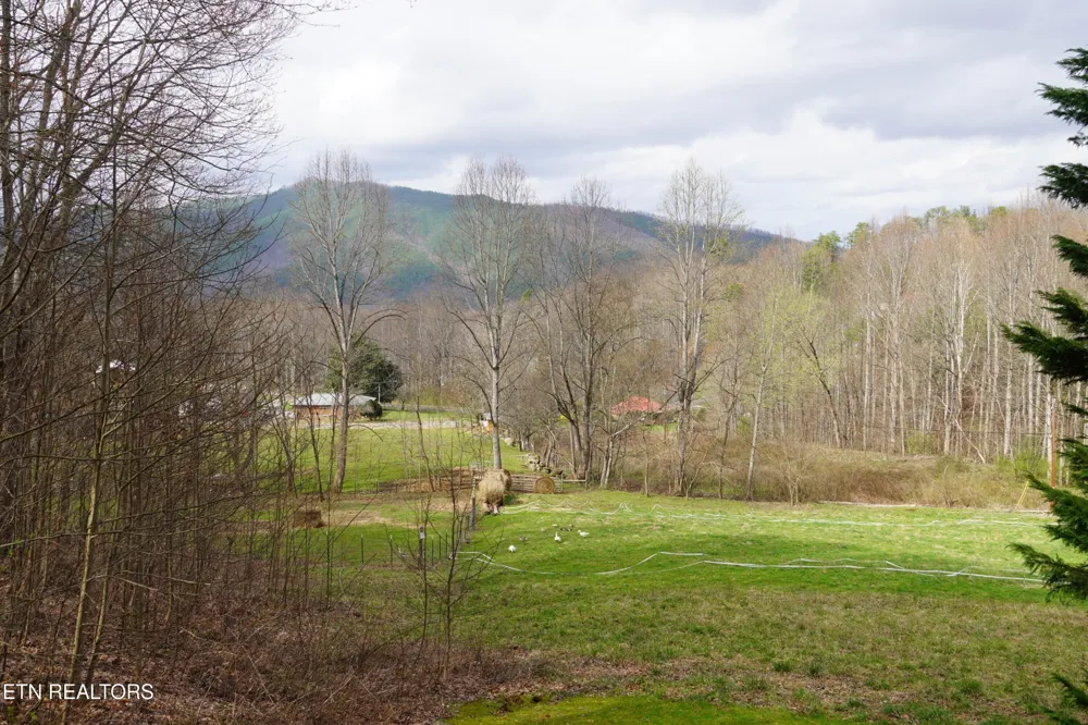 994 Emilyville Way Cosby, TN 37722