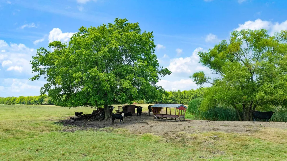 2606 Farm Road 412 Clarksville, TX 75426