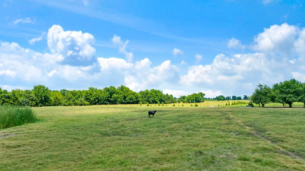 2606 Farm Road 412 Clarksville, TX 75426