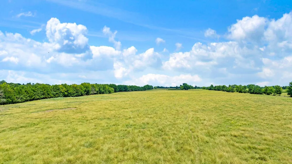 2606 Farm Road 412 Clarksville, TX 75426